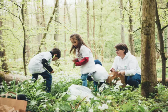 KiWIS Stiftung: Spielende Kinder im Wald